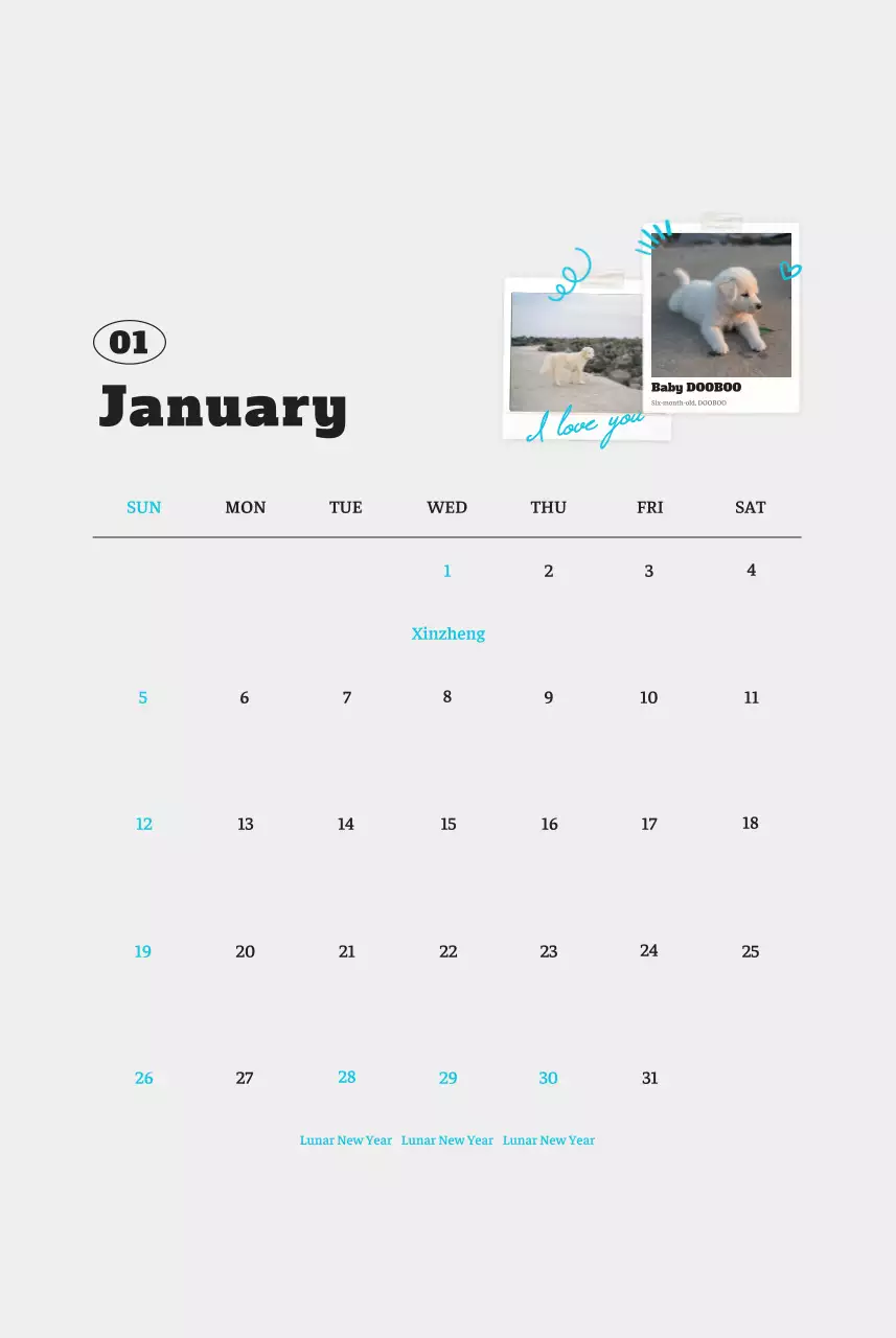 Kalender Foto Binatang Balet Putih Rapi