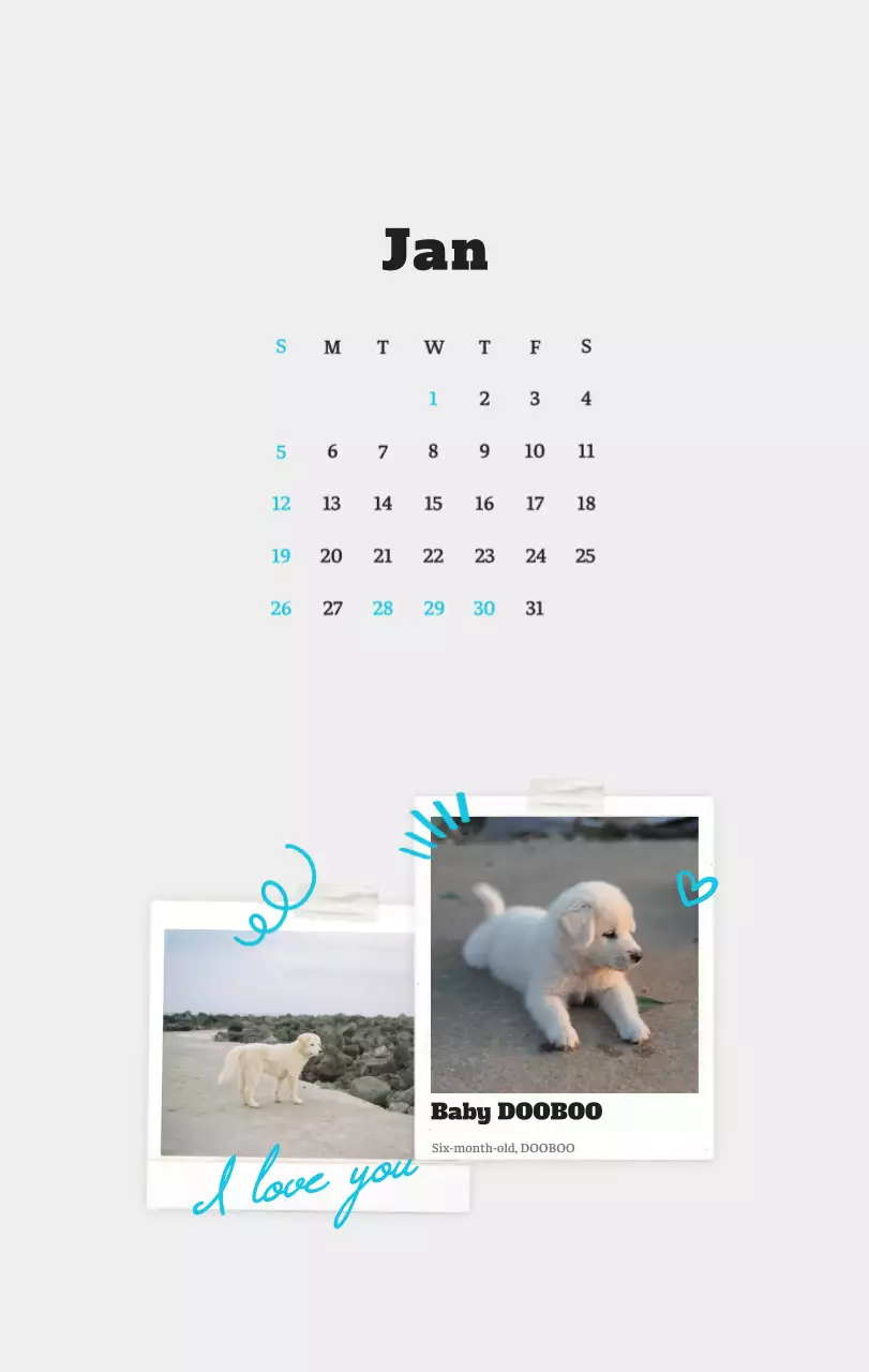 Kalender Foto Binatang Balet Putih Rapi