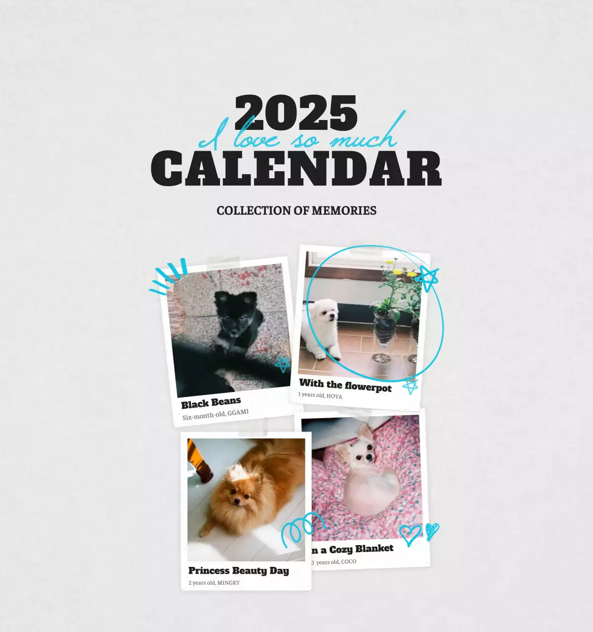 Kalender Foto Binatang Balet Putih Rapi