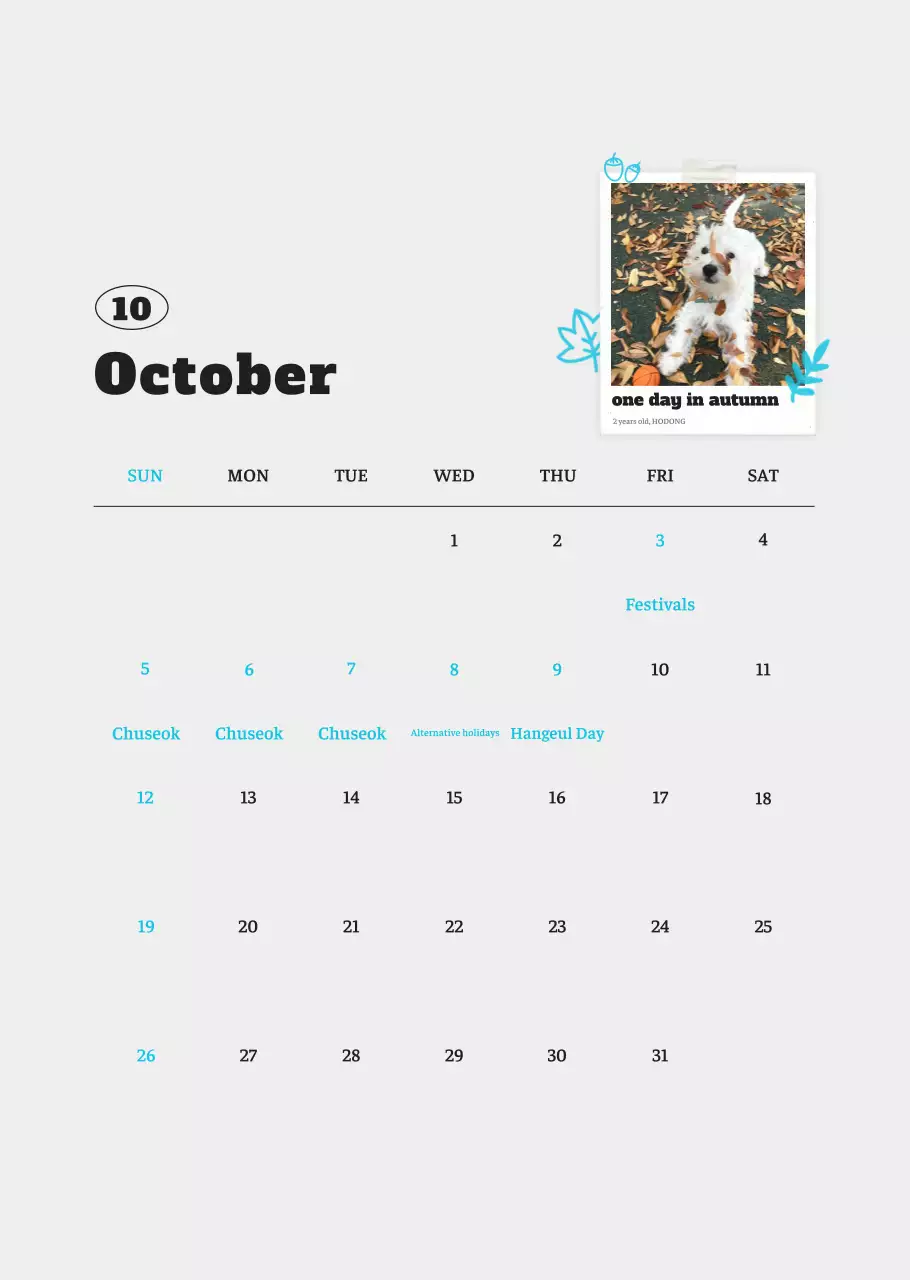 Kalender Foto Binatang Balet Putih Rapi