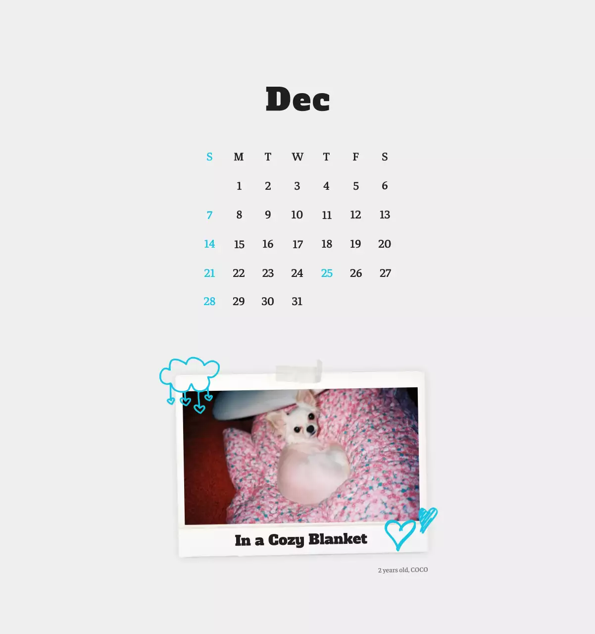 Kalender Foto Binatang Balet Putih Rapi