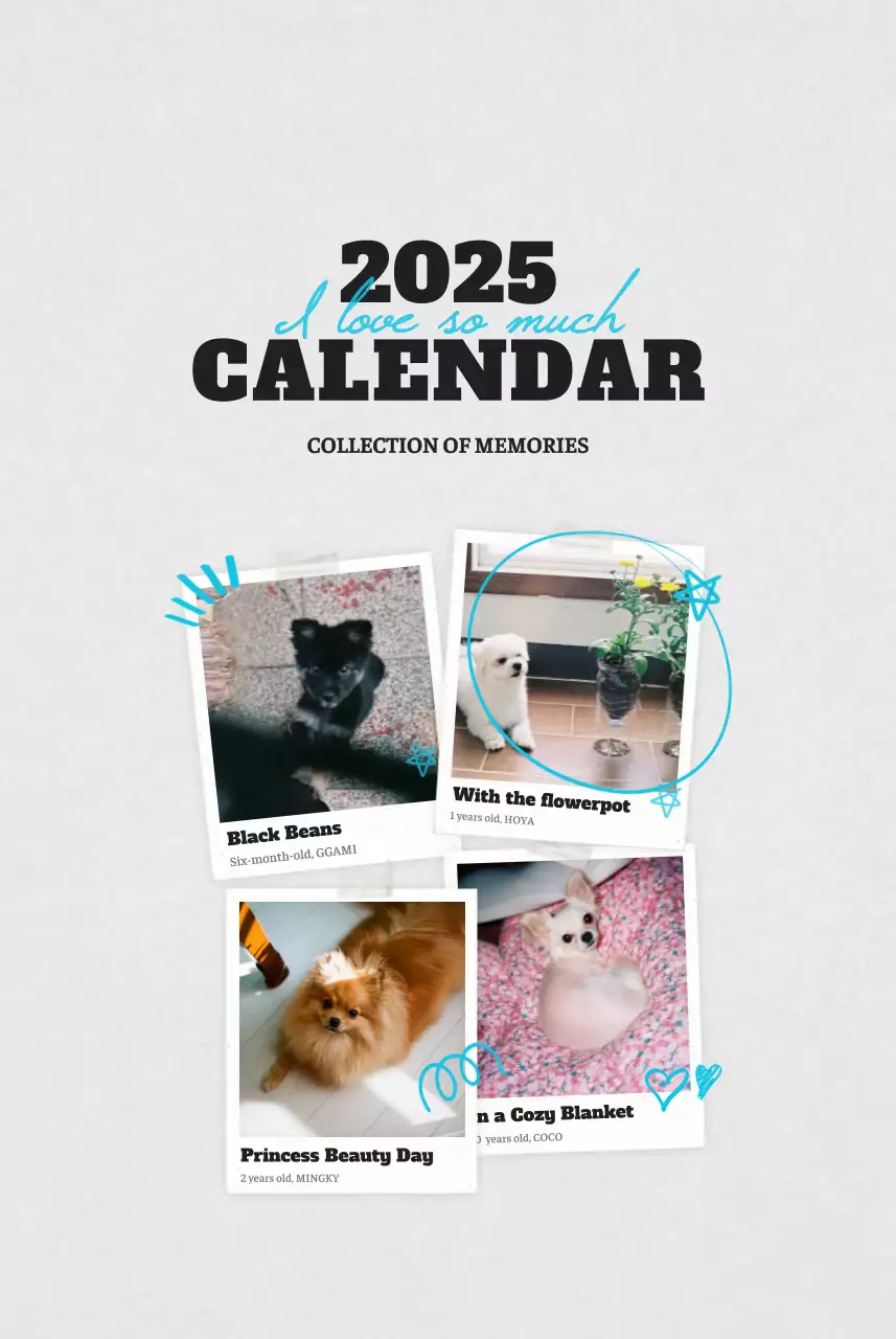 Kalender Foto Binatang Balet Putih Rapi