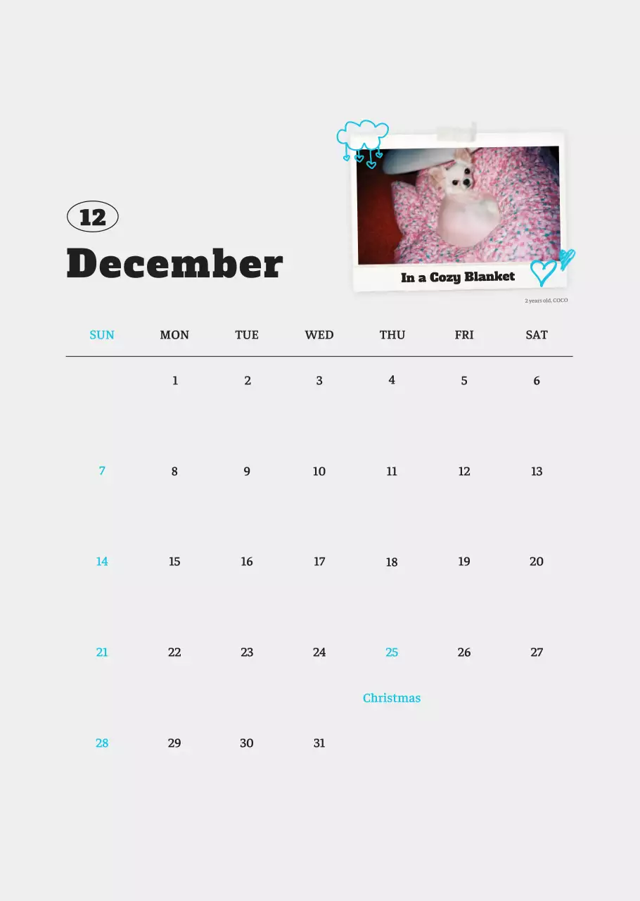 Kalender Foto Binatang Balet Putih Rapi