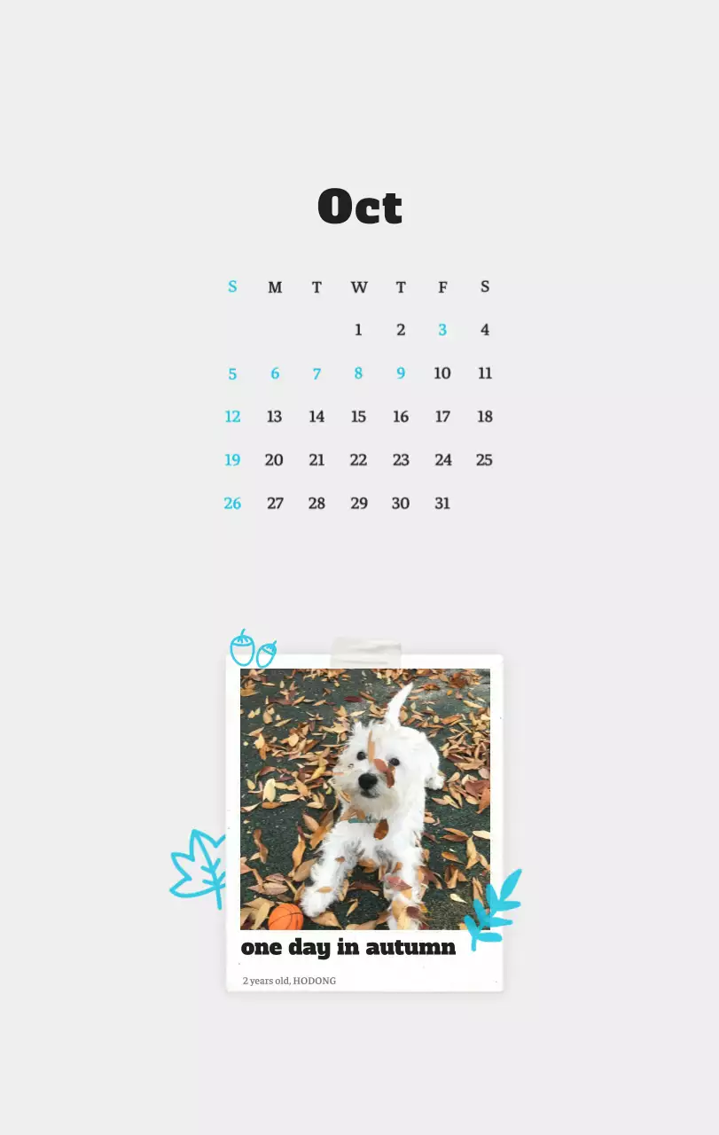 Kalender Foto Binatang Balet Putih Rapi