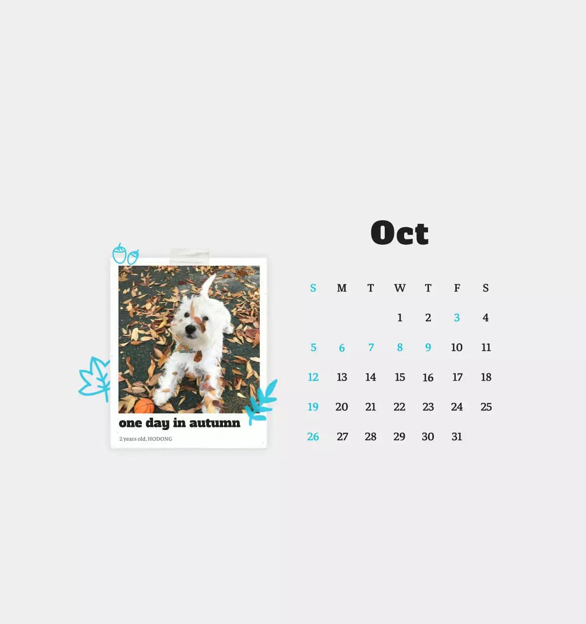 Kalender Foto Binatang Balet Putih Rapi
