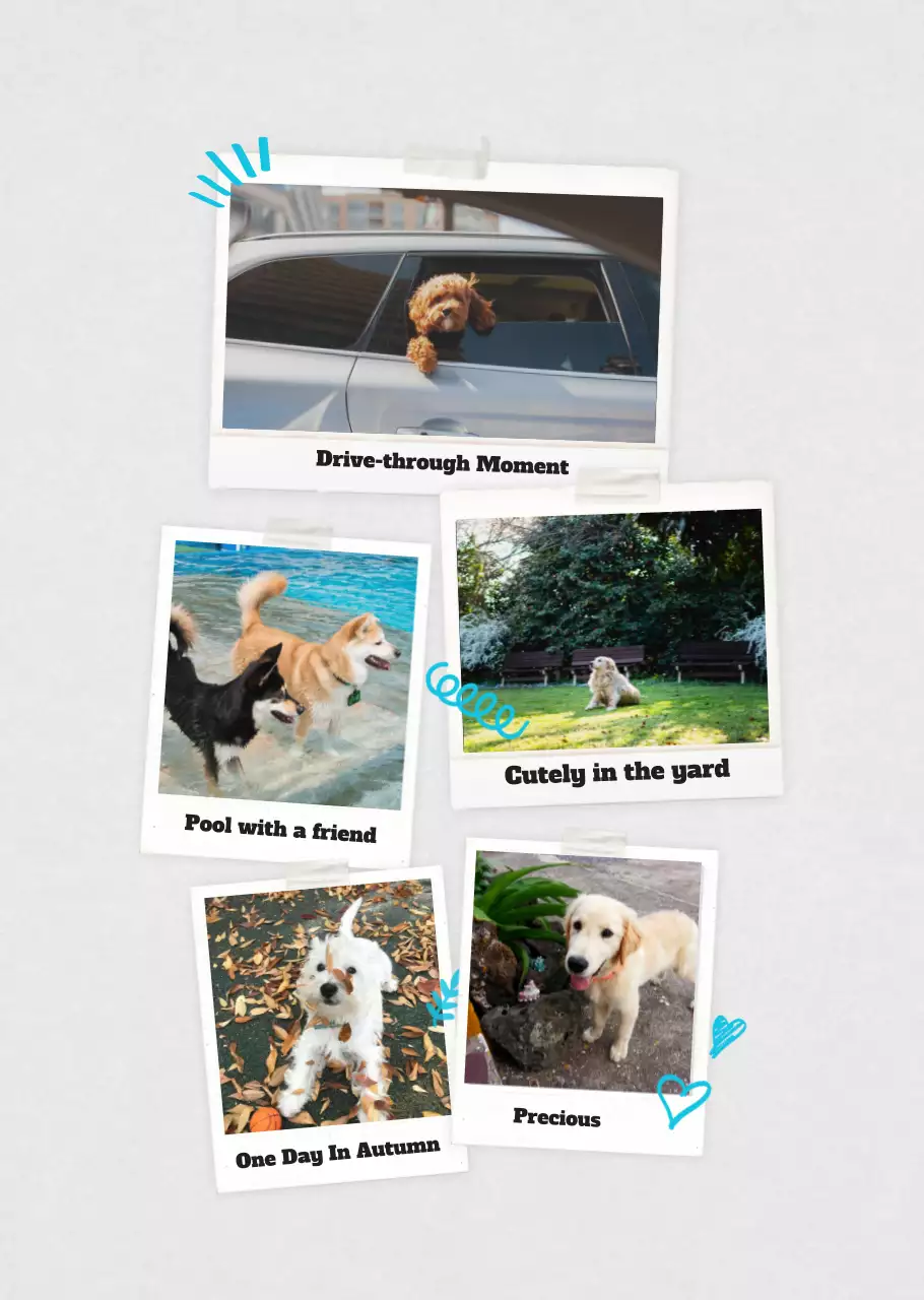 Kalender Foto Binatang Balet Putih Rapi