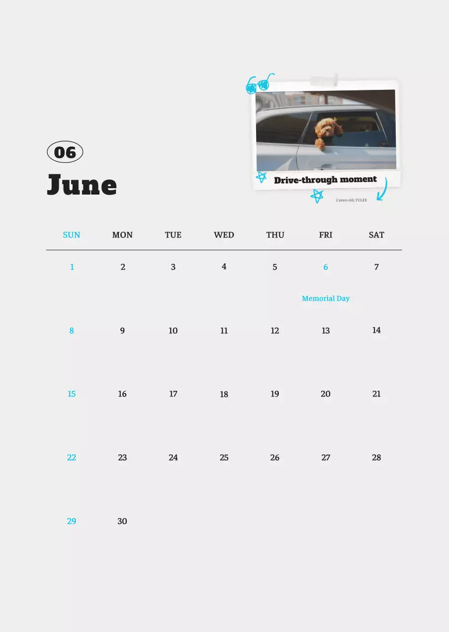 Kalender Foto Binatang Balet Putih Rapi