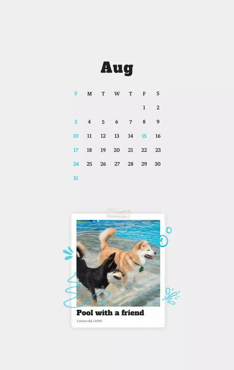 Kalender Foto Binatang Balet Putih Rapi