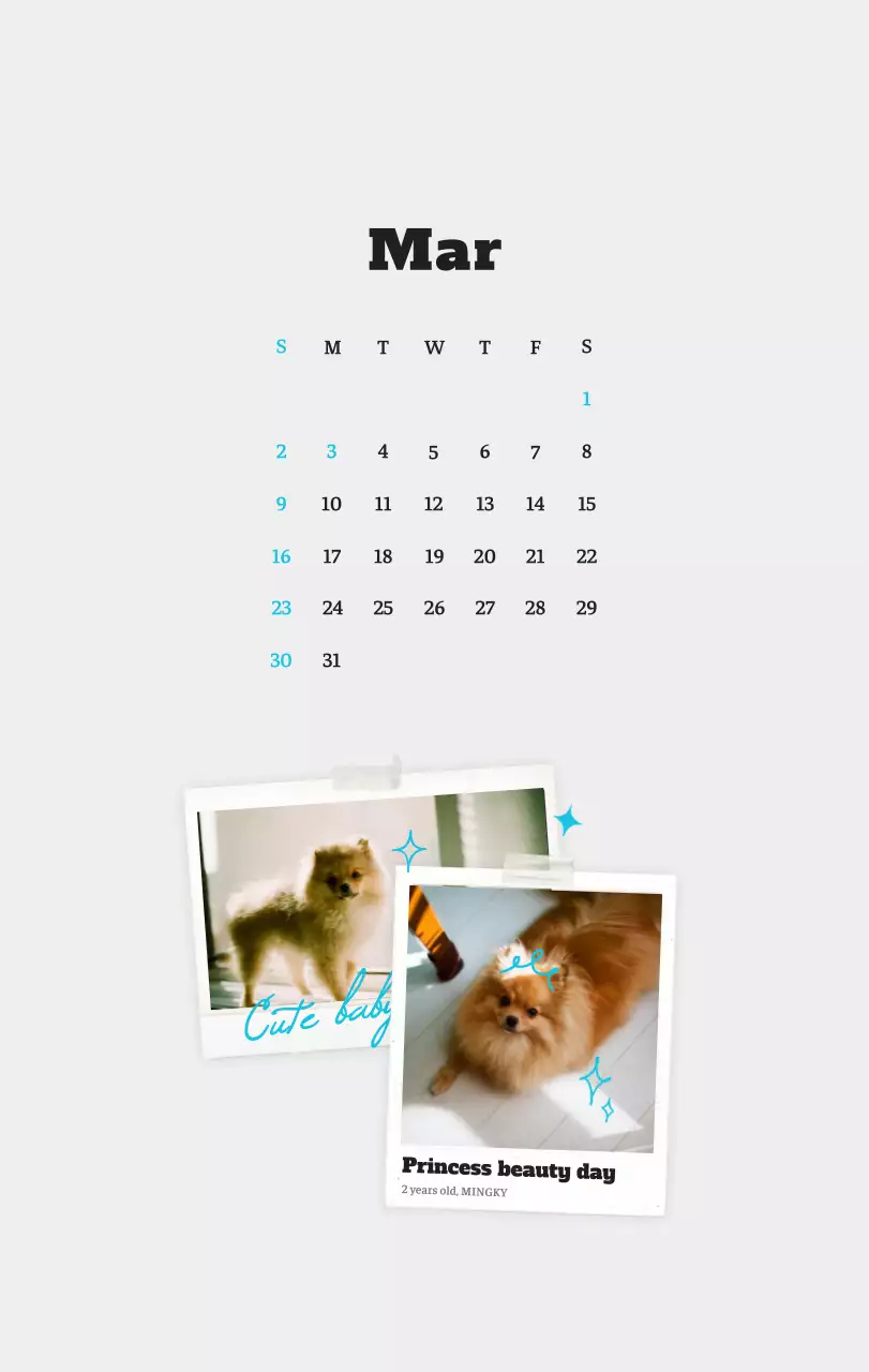 Kalender Foto Binatang Balet Putih Rapi