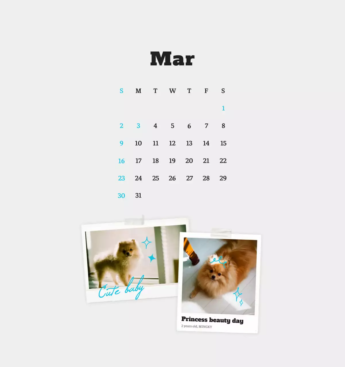 Kalender Foto Binatang Balet Putih Rapi