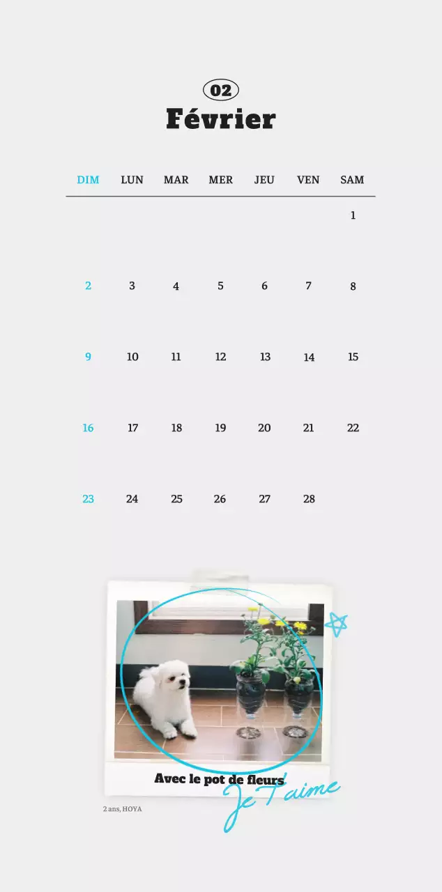 Calendrier photo blanc Neat Ballet Animal