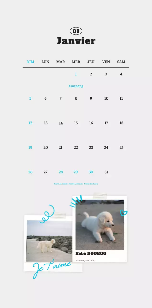Calendrier photo blanc Neat Ballet Animal