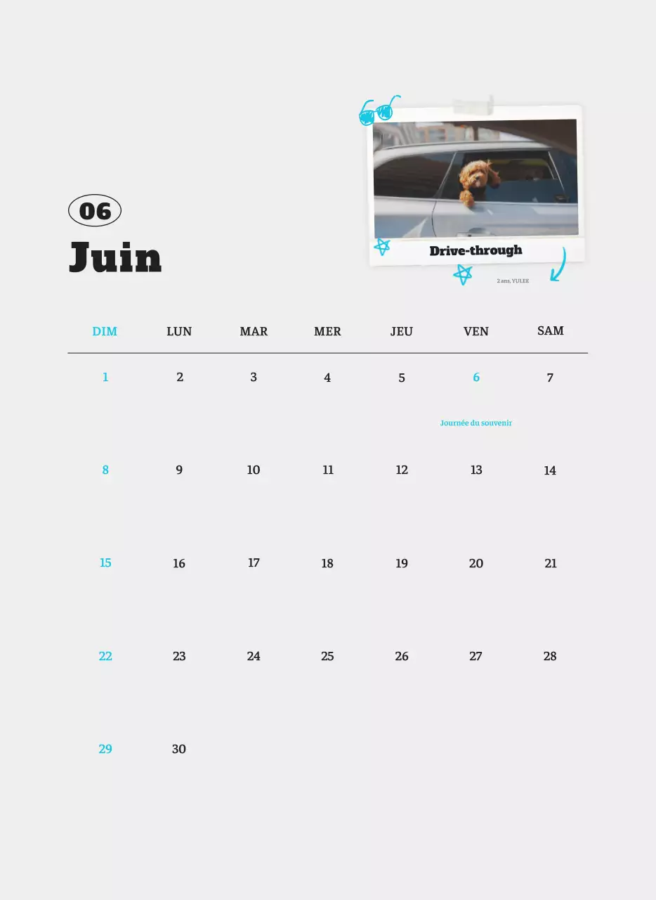 Calendrier photo blanc Neat Ballet Animal