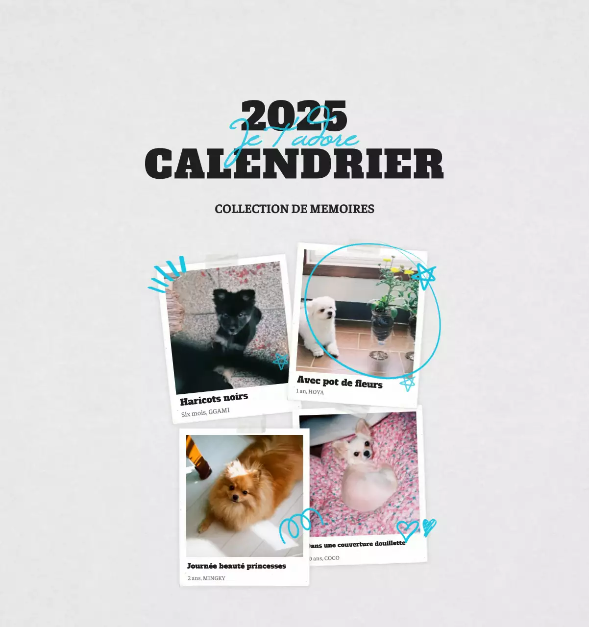 Calendrier photo blanc Neat Ballet Animal
