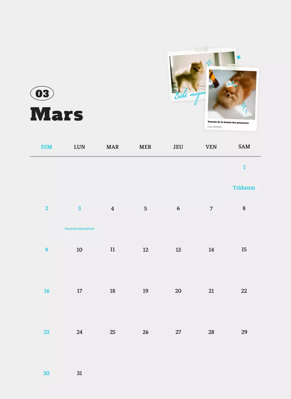 Calendrier photo blanc Neat Ballet Animal