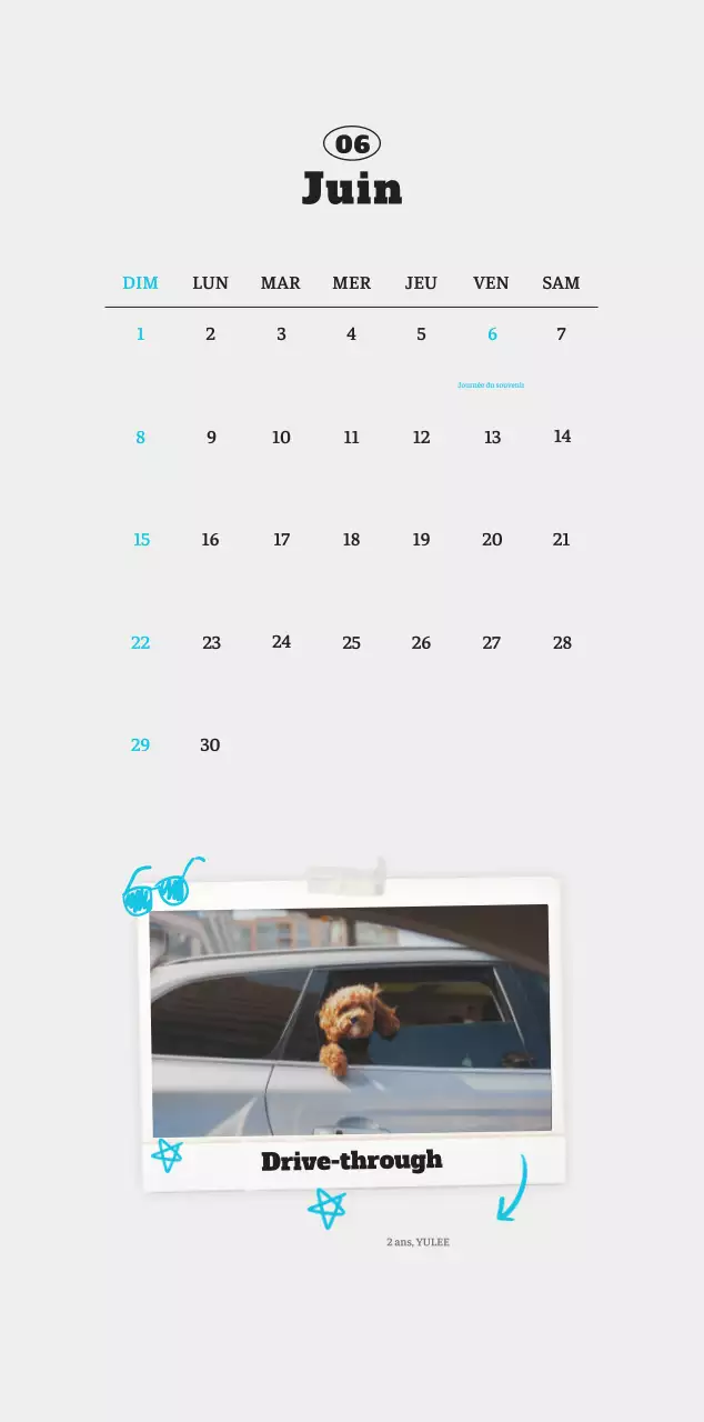 Calendrier photo blanc Neat Ballet Animal