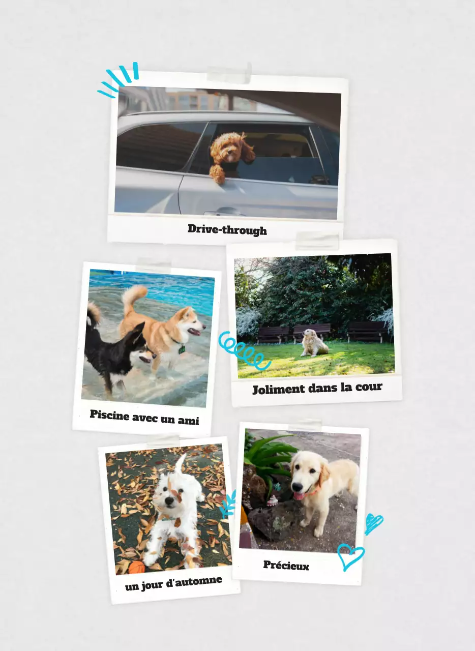 Calendrier photo blanc Neat Ballet Animal