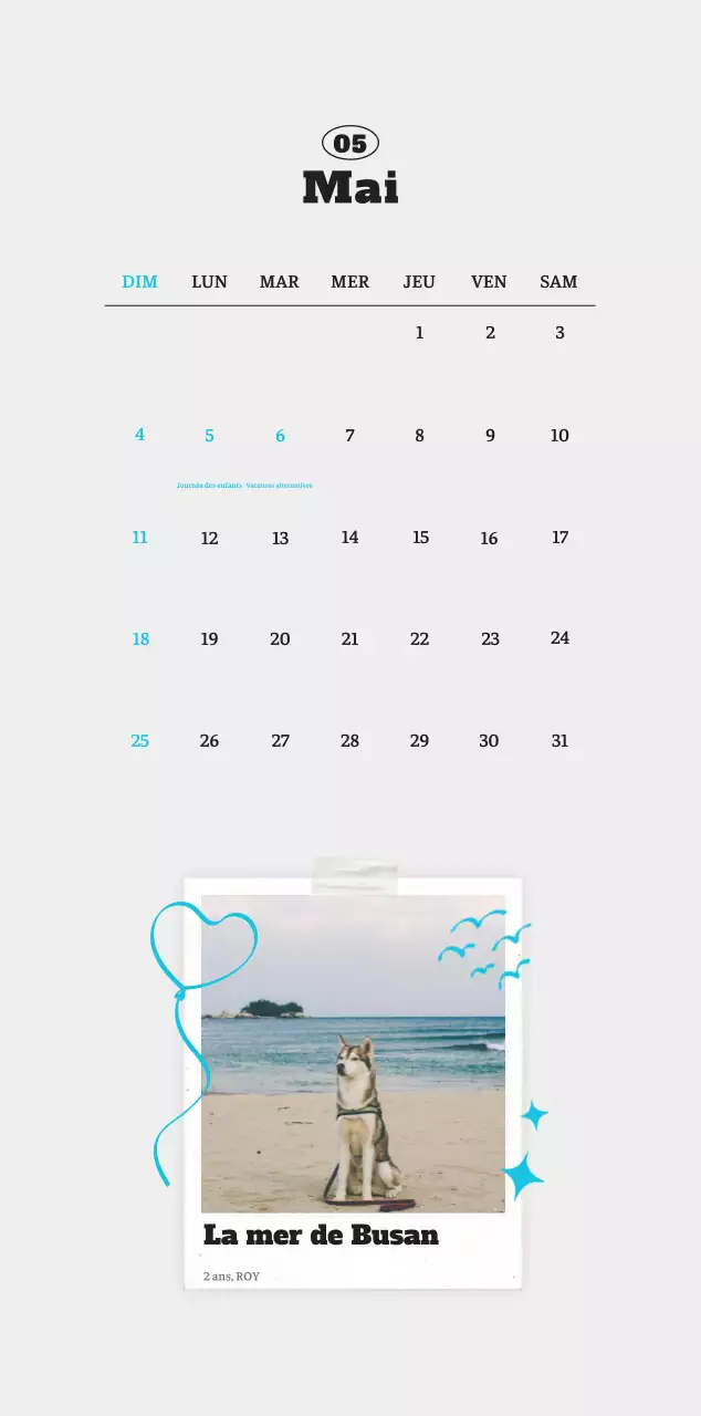 Calendrier photo blanc Neat Ballet Animal