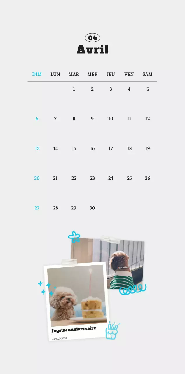 Calendrier photo blanc Neat Ballet Animal