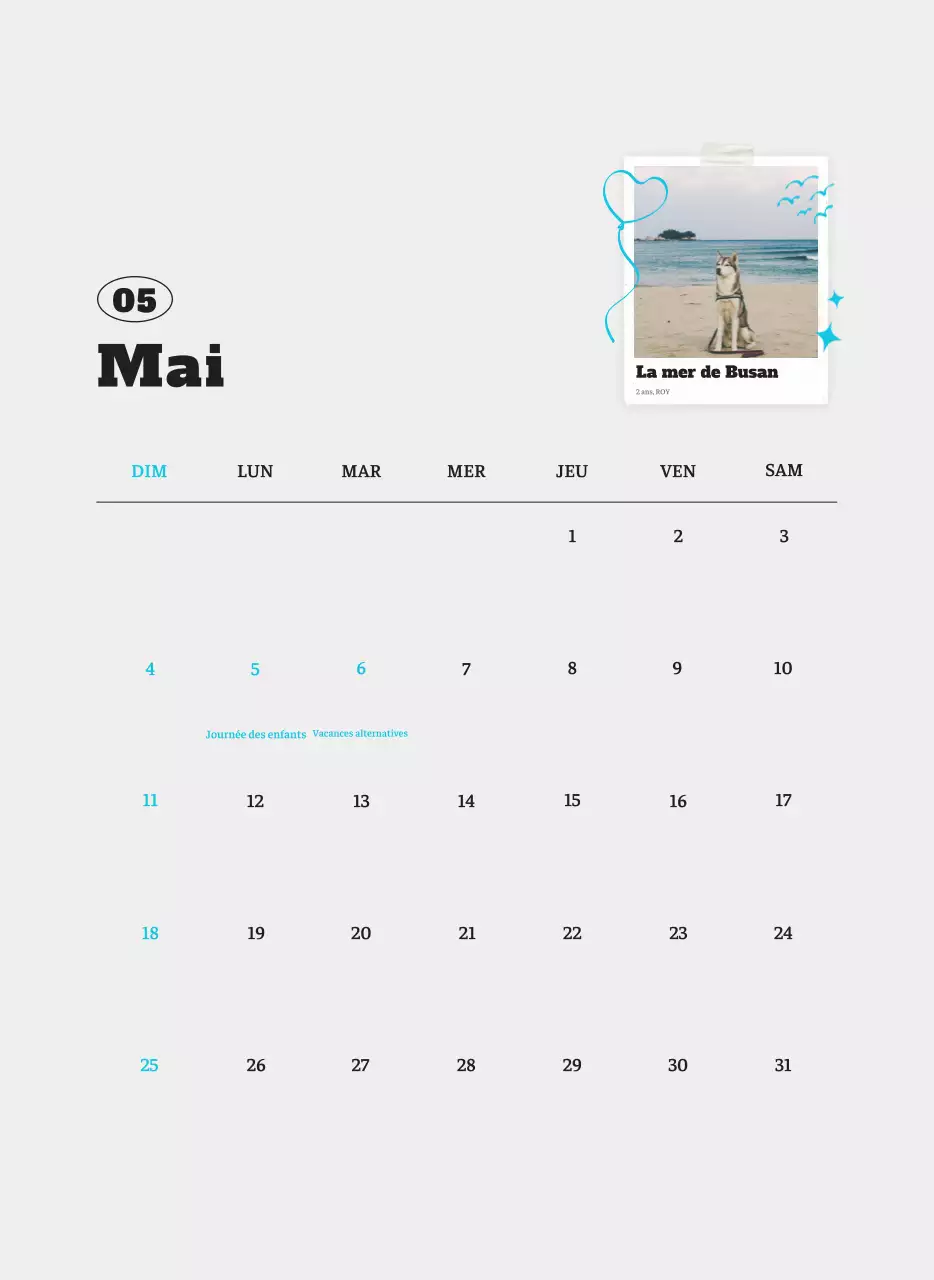 Calendrier photo blanc Neat Ballet Animal