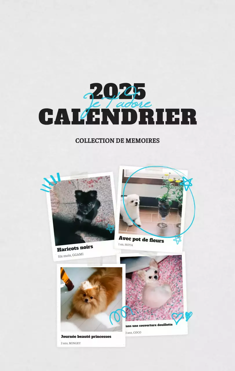 Calendrier photo blanc Neat Ballet Animal