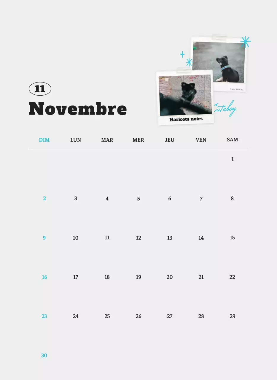 Calendrier photo blanc Neat Ballet Animal