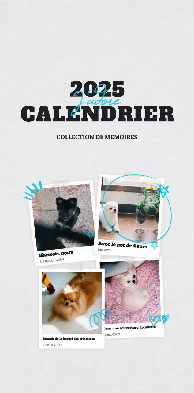 Calendrier photo blanc Neat Ballet Animal
