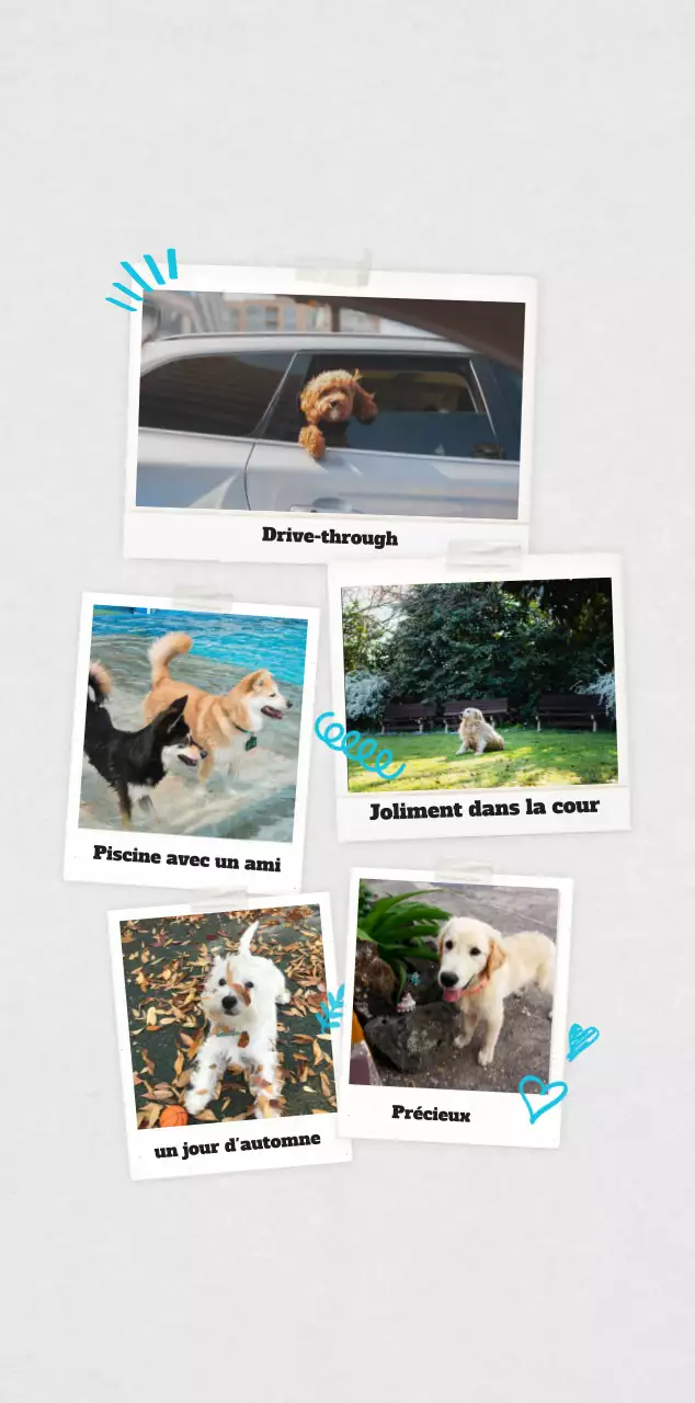 Calendrier photo blanc Neat Ballet Animal