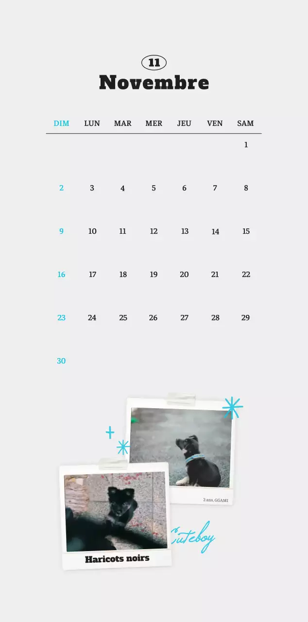 Calendrier photo blanc Neat Ballet Animal