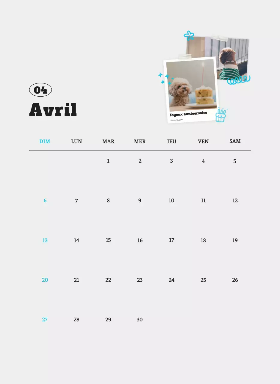 Calendrier photo blanc Neat Ballet Animal