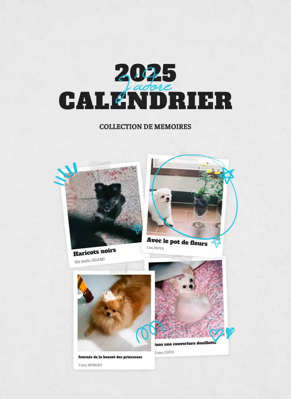 Calendrier photo blanc Neat Ballet Animal