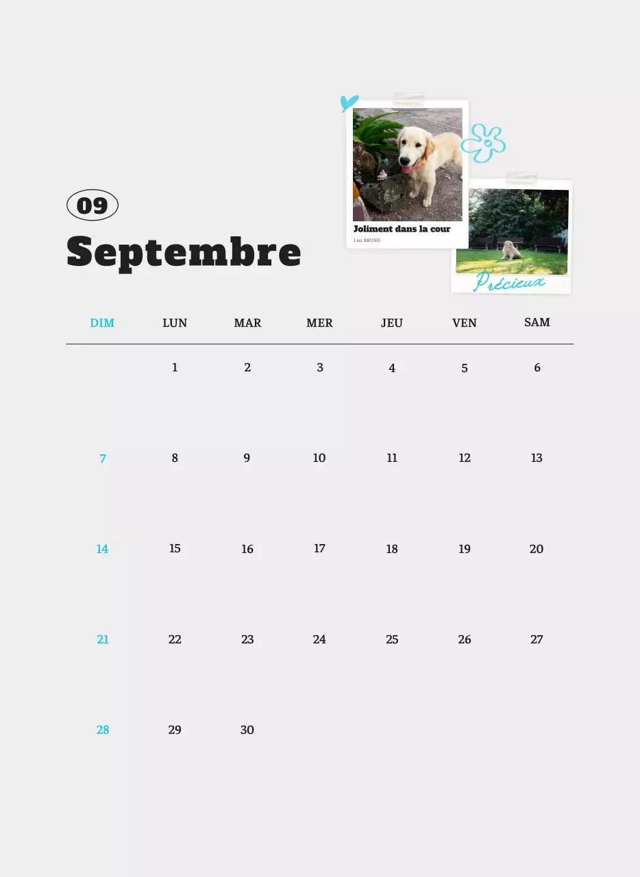 Calendrier photo blanc Neat Ballet Animal