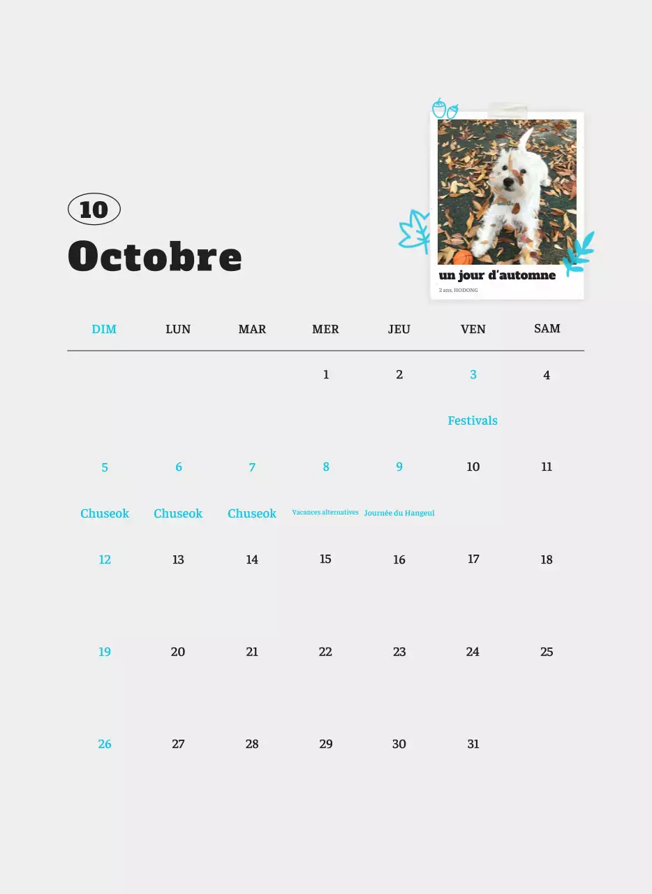 Calendrier photo blanc Neat Ballet Animal