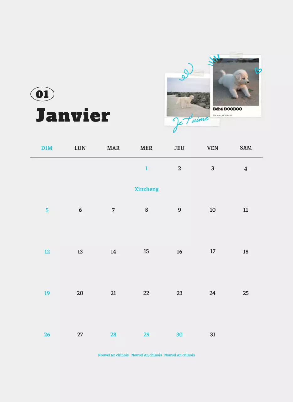 Calendrier photo blanc Neat Ballet Animal