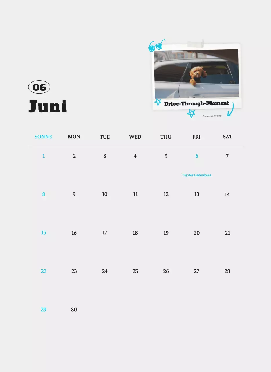 Weißer Neat Ballet-Tier-Fotokalender