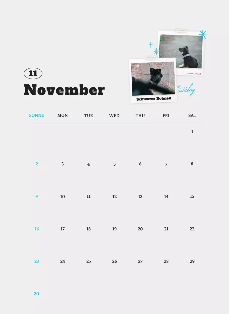 Weißer Neat Ballet-Tier-Fotokalender