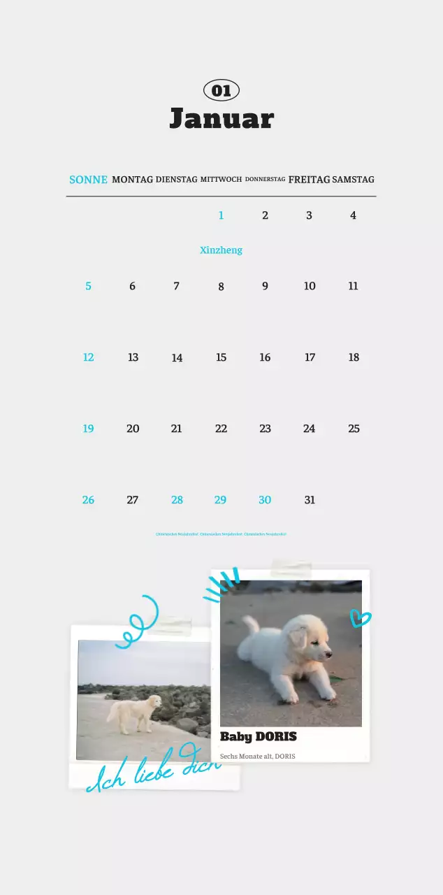 Weißer Neat Ballet-Tier-Fotokalender