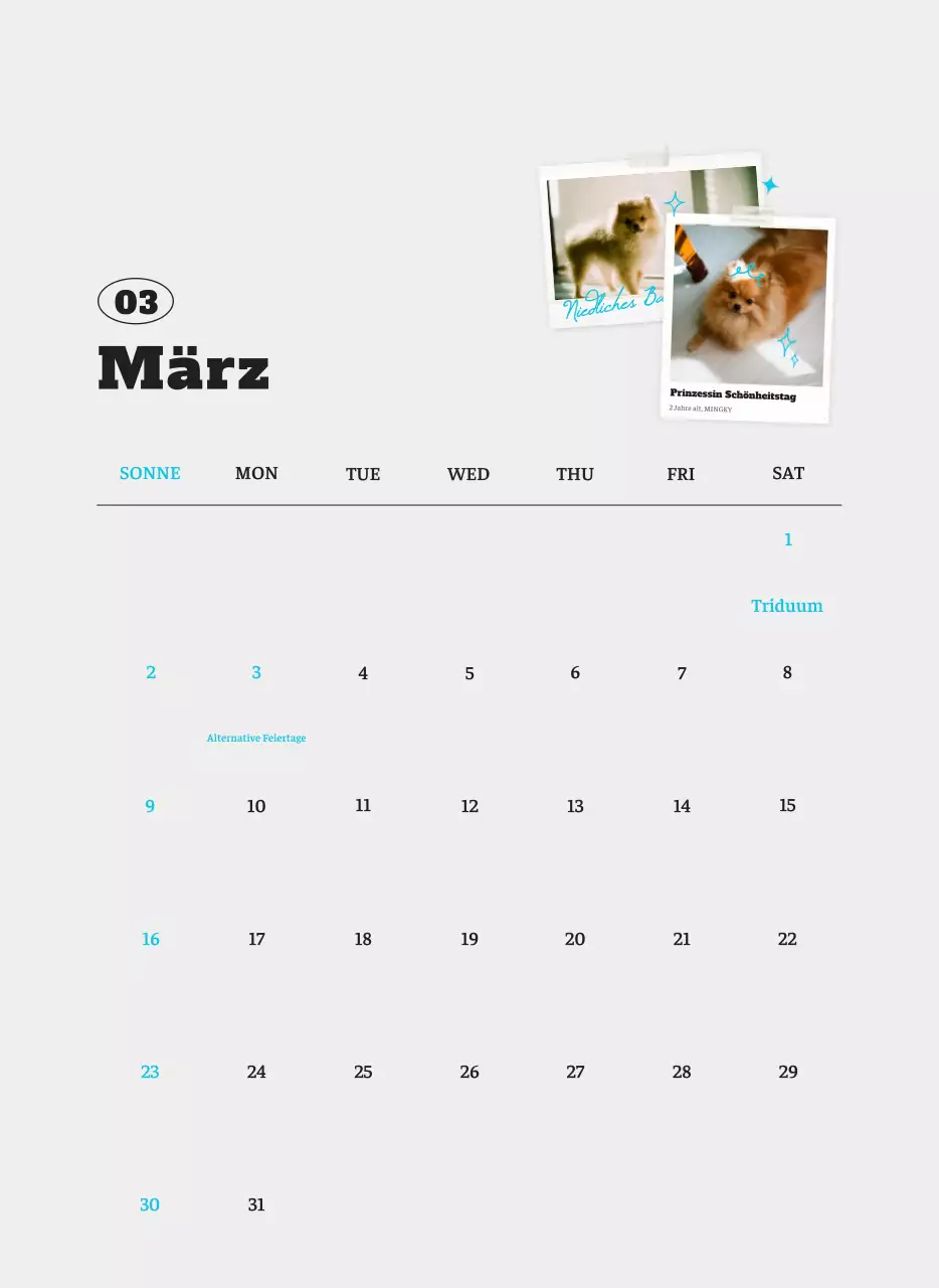 Weißer Neat Ballet-Tier-Fotokalender