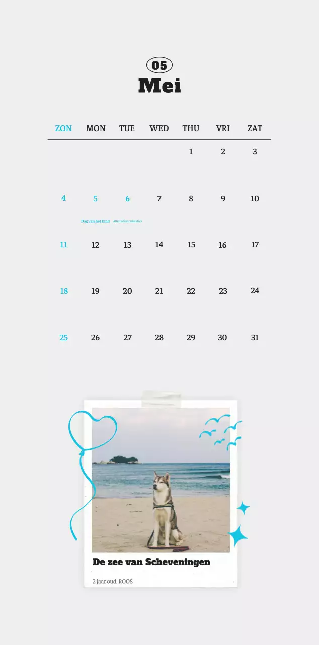 Witte Nette Ballet Dierenfotokalender