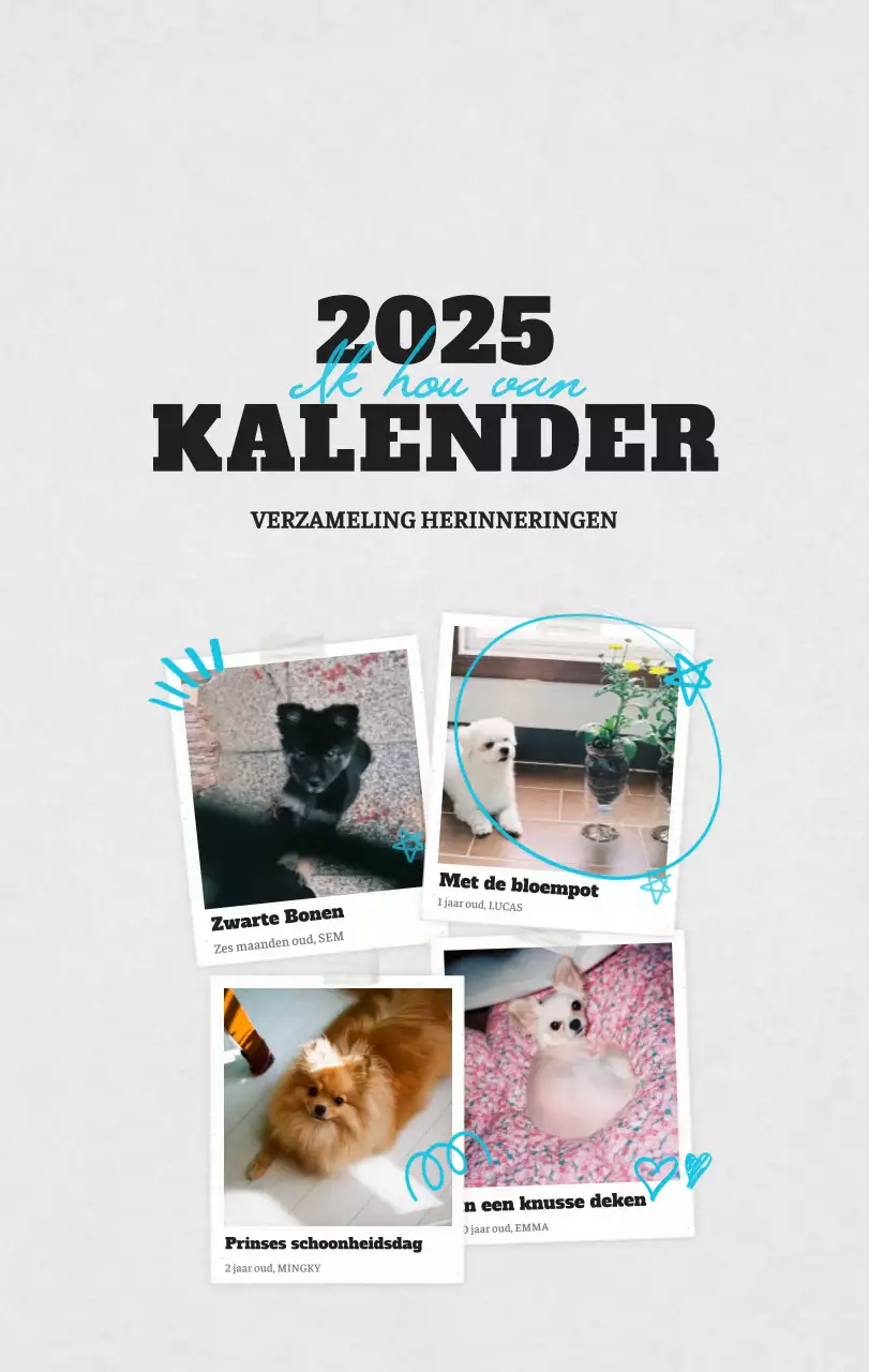 Witte Nette Ballet Dierenfotokalender