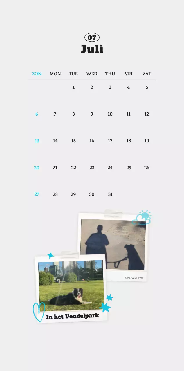 Witte Nette Ballet Dierenfotokalender