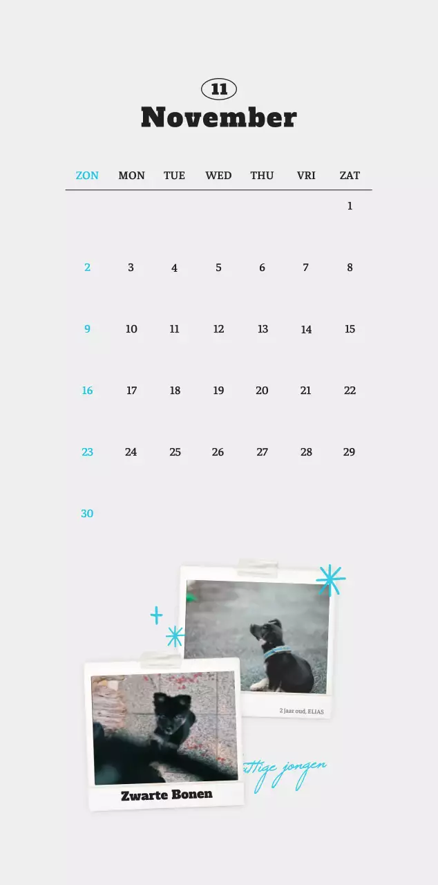 Witte Nette Ballet Dierenfotokalender