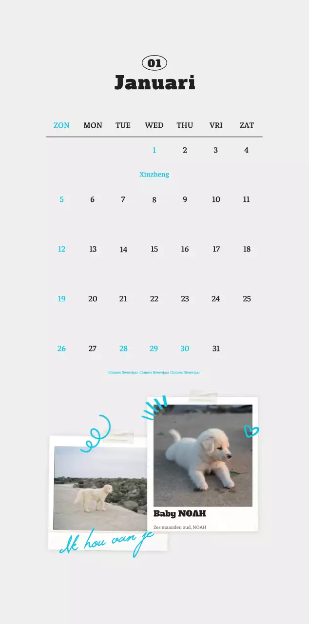 Witte Nette Ballet Dierenfotokalender