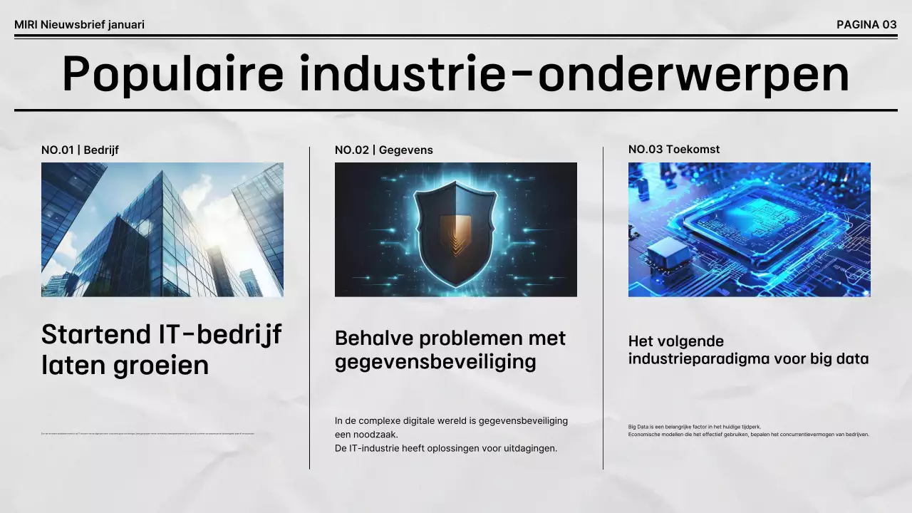 Zwart-wit standaard bedrijfsnieuwsbrief