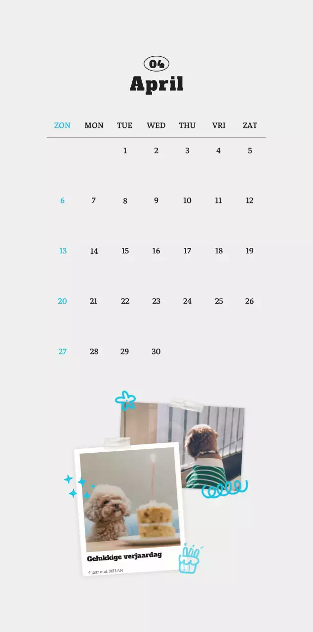 Witte Nette Ballet Dierenfotokalender