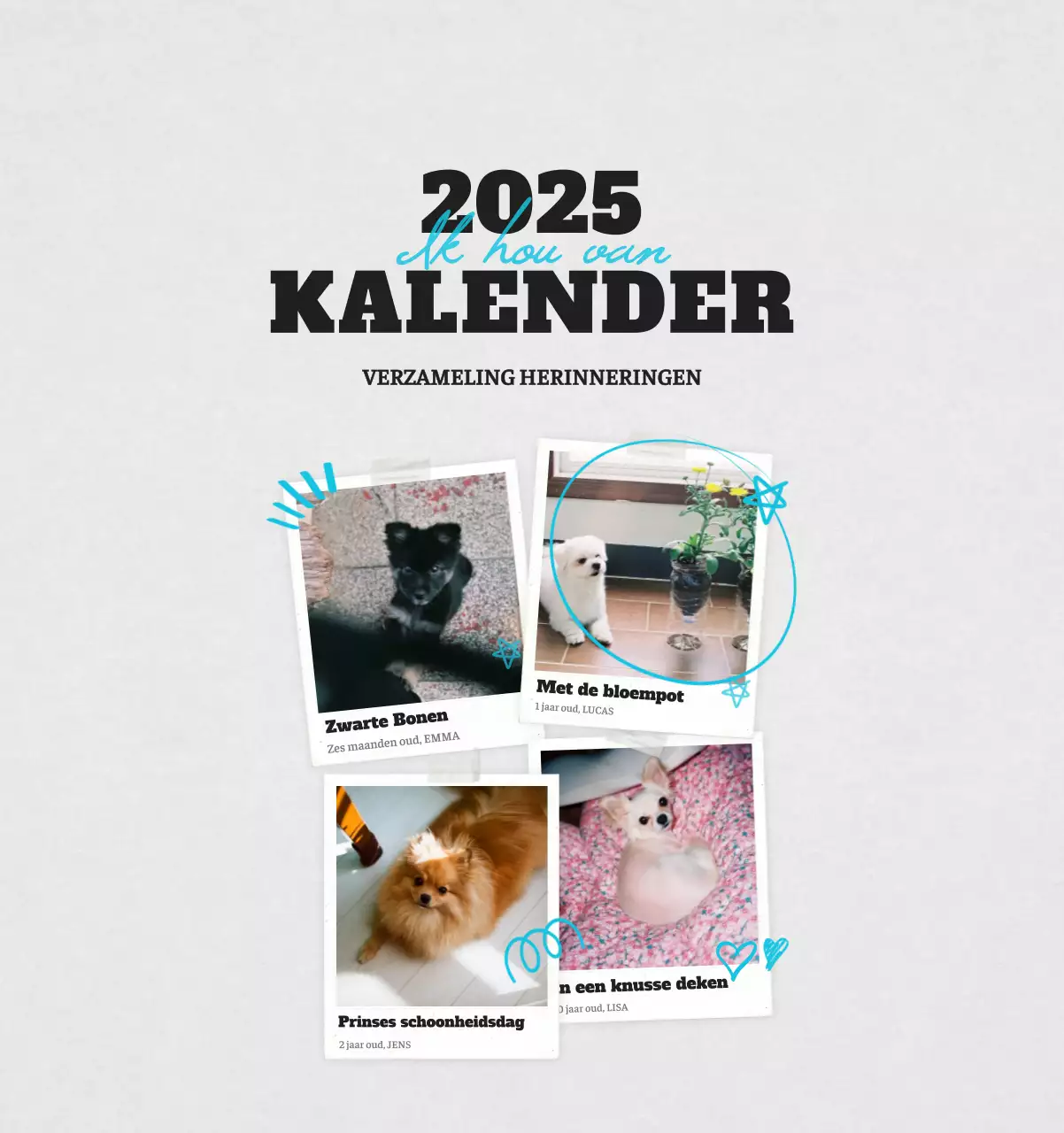 Witte Nette Ballet Dierenfotokalender