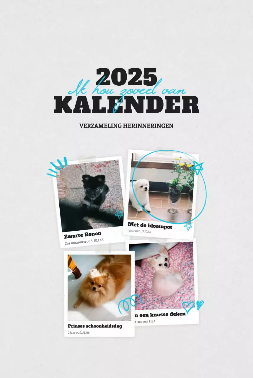Witte Nette Ballet Dierenfotokalender