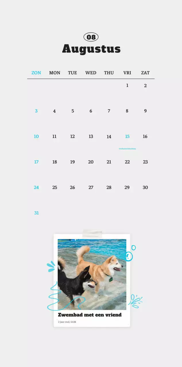 Witte Nette Ballet Dierenfotokalender