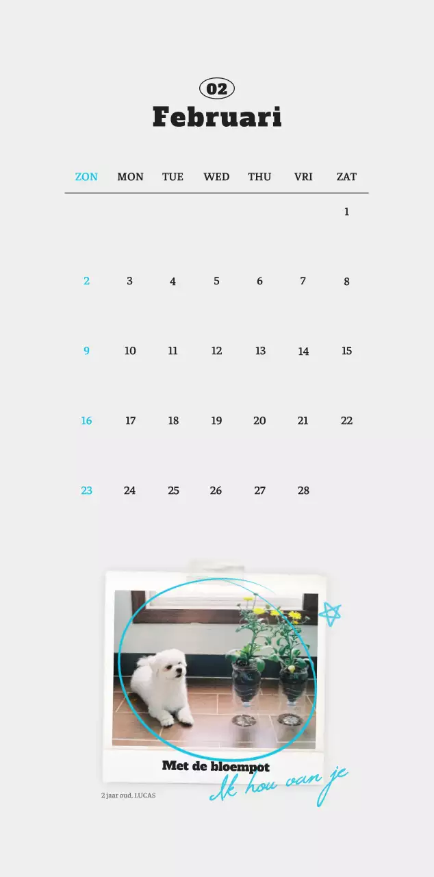 Witte Nette Ballet Dierenfotokalender