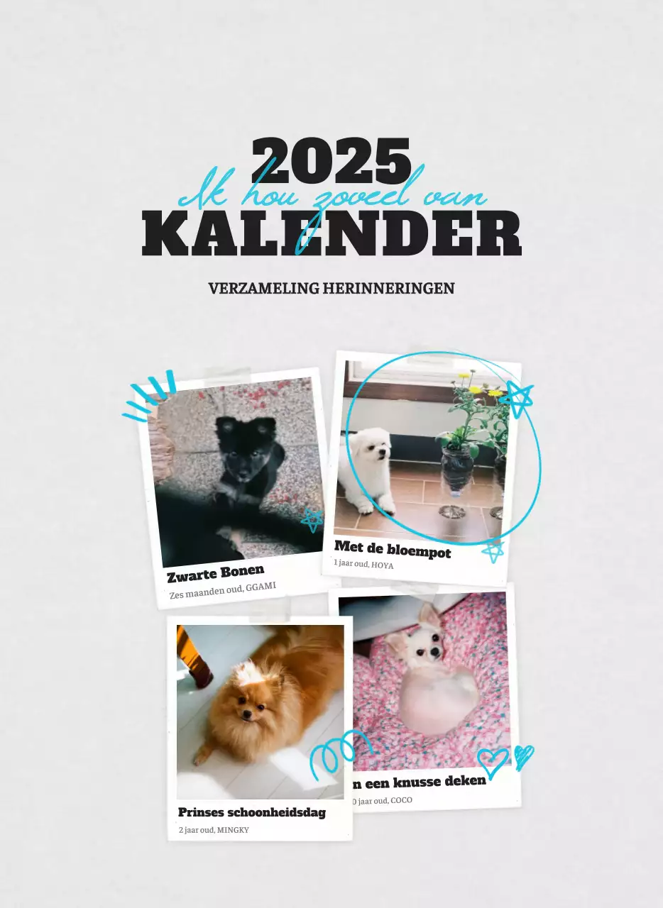 Witte Nette Ballet Dierenfotokalender
